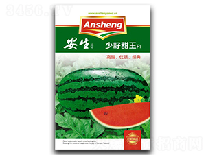 ��������-���ϷN��-����