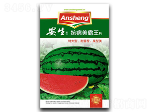 ����������-���ϷN��-����