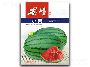 С��-���ϷN��-����