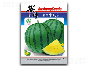 С��-���ϷN��-����