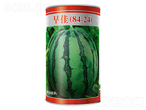 ���84-24-���ϷN��-����