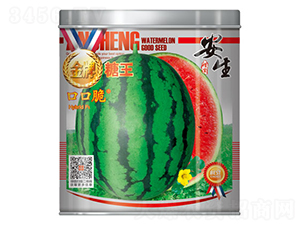 ���������ڿڴ�-���ϷN��-����