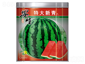 �ش�����-���ϷN��-����