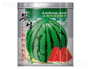 �p��������-���ϷN��-����