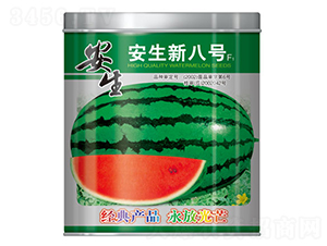 �����°�̖-���ϷN��-����