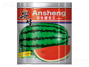 ����������-���ϷN��-����