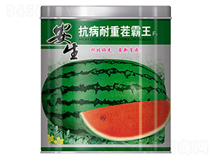 �������ز����-���ϷN��-����