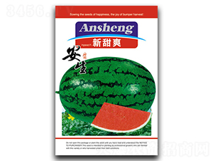 ��������ˬ-���ϷN��-����