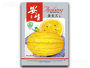 �����S����-���ϷN��-����