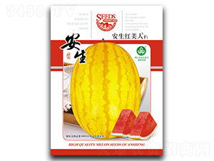 �t����-���ϷN��-����