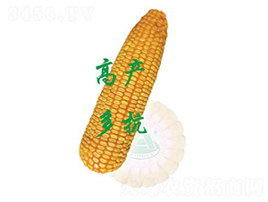 ����10-���׷N��-ԣ�S�N�I(y��)