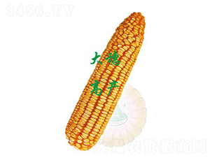 �r(n��ng)��364-���׷N��-ԣ�S�N�I(y��)