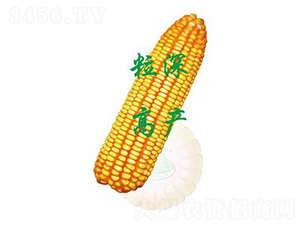 ����29-���׷N��-ԣ�S�N�I(y��)