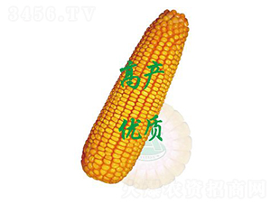 ����358-���׷N��-ԣ�S�N�I(y��)