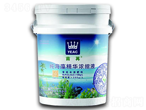 �����徫�A��sҺ-����