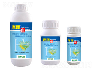 Ħ����-ħ��Һ��