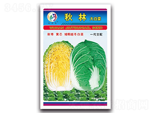 ����-��ײ˷N��-���^�B