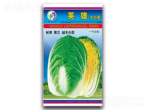 Ӣ��-��ײ˷N��-���^�B