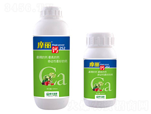 Ħ���}-ħ��Һ��