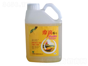 Ħ��6̖(h��o)-ħ��Һ��