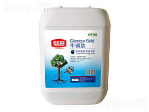 ������-ħ��Һ��