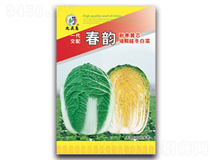 ���-��ײ˷N��-���^�B