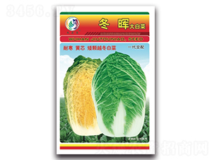 ����-��ײ˷N��-���^�B