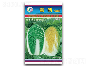 ѩ��-��ײ˷N��-���^�B