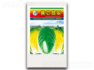 �Sо���-��ײ˷N��-���^�B