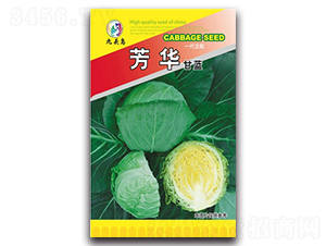 ���A���{(l��n)-���{(l��n)�N��-���^�B