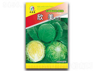 �������{(l��n)-���{(l��n)�N��-���^�B(ni��o)