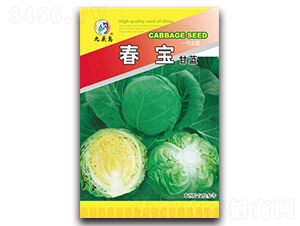 �������{(l��n)-���{(l��n)�N��-���^�B(ni��o)