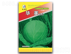 �A�����{(l��n)-���{(l��n)�N��-���^�B(ni��o)