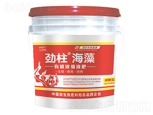 �ЙC��sҺ��-����������-형r�