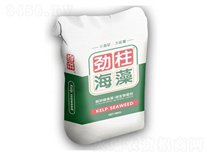 ��������-형r�