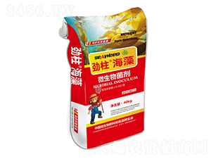 ΢�������-��������-형r�