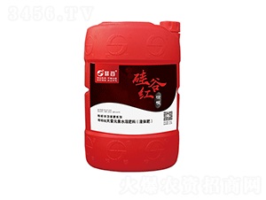 �ЙC(j��)��Ѹ���Һ�w��-���