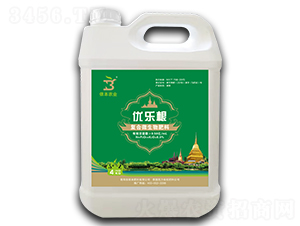 ��(f��)��΢�������-��(y��u)����-�z���r(n��ng)�I(y��)