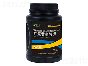 �VԴ�S�����-���S˹��