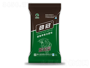 ����⛏�(f��)�Ϸ���16-16-8-̼����-�Ź�