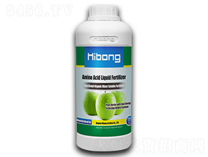 ������Һ�w����-�������