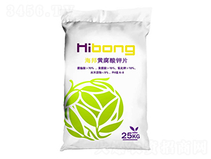 �S�����Ƭ-�������