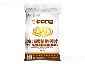 ��ֲ���Ƭ-�������