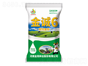 ���\6-���׷N��-��Է�N�I(y��)