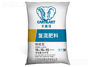 �����͏ͻ����15-15-15-������-������