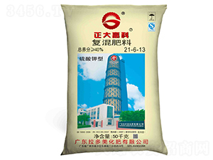 ������͏ͻ����21-6-13-����߿�-������