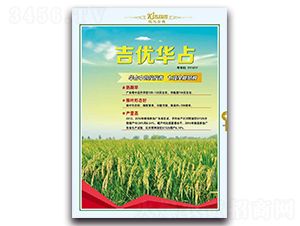 ����(y��u)�Aռ-ˮ���N��-�F(xi��n)������