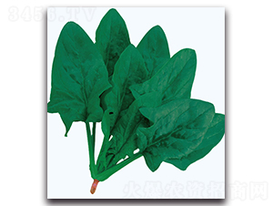 ����G����-���˷N��-�F(xi��n)������