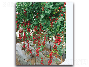 ���ؙ��ҷ���-���ѷN��-�F(xi��n)������