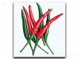 ��������-�����N��-�F(xi��n)������